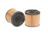 Filtre carburant Fuel Filter:1906.51